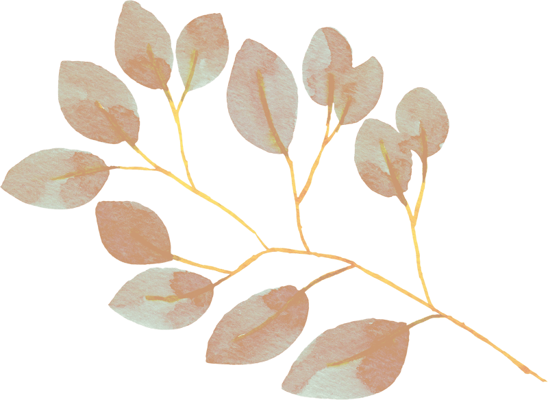 SWIEJKO flora 2 15 02 tiny